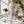 Premium Dried Hibiscus 8oz (Roselle) – USA Grown